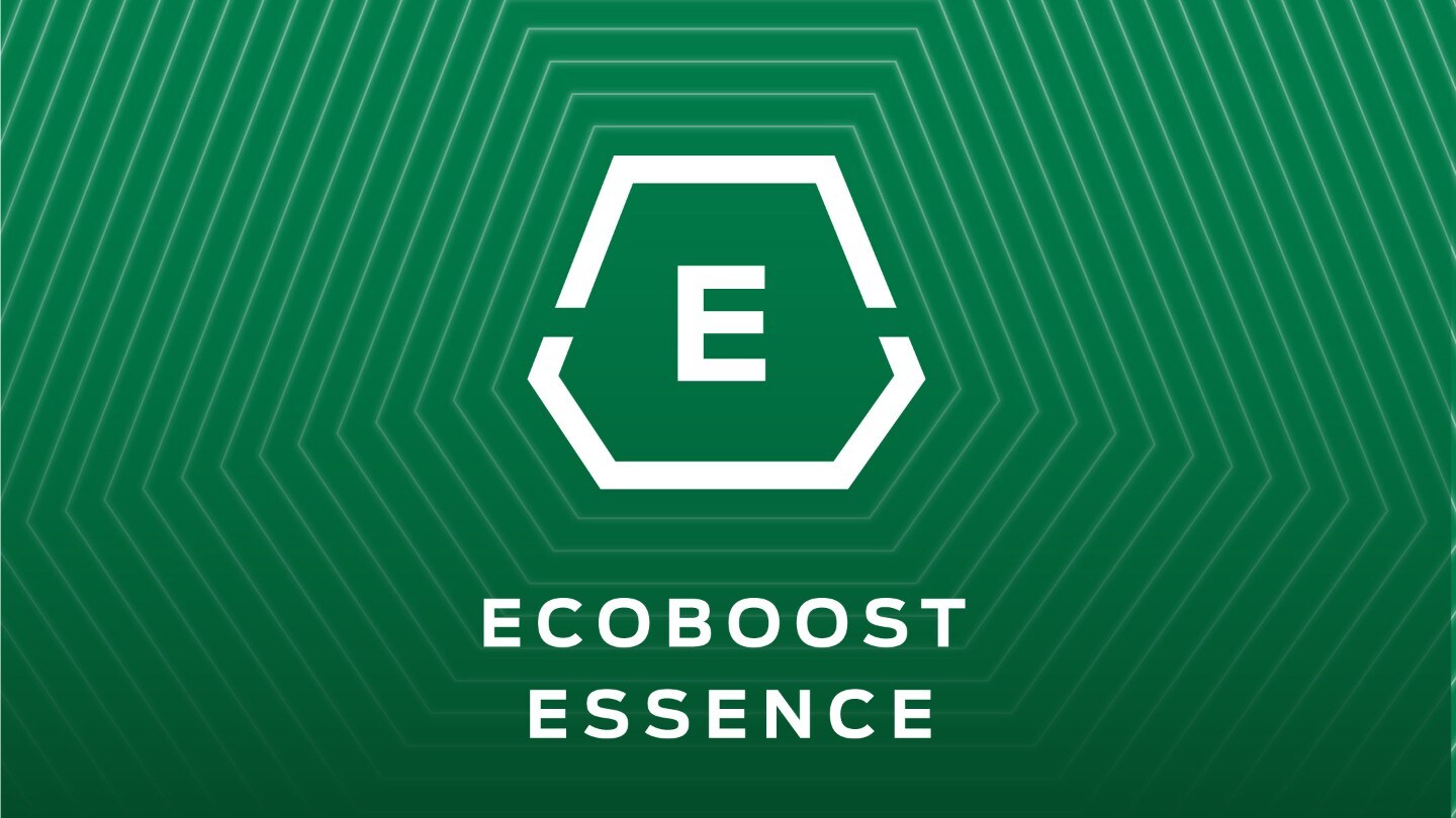 Ecoboost petrol icon