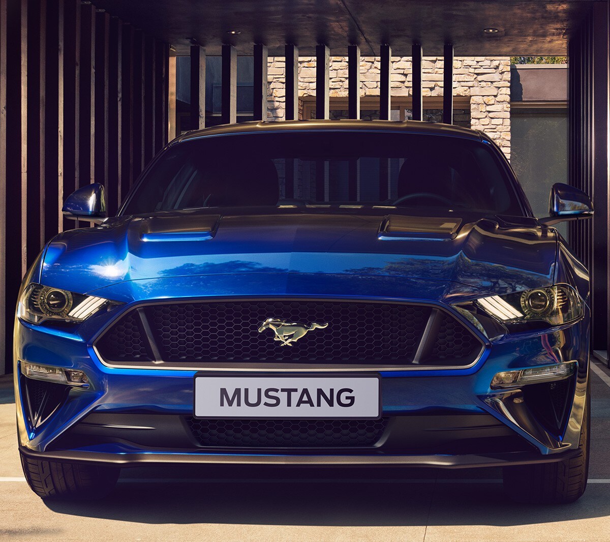 Blue Ford Mustang GT parked by grill gate