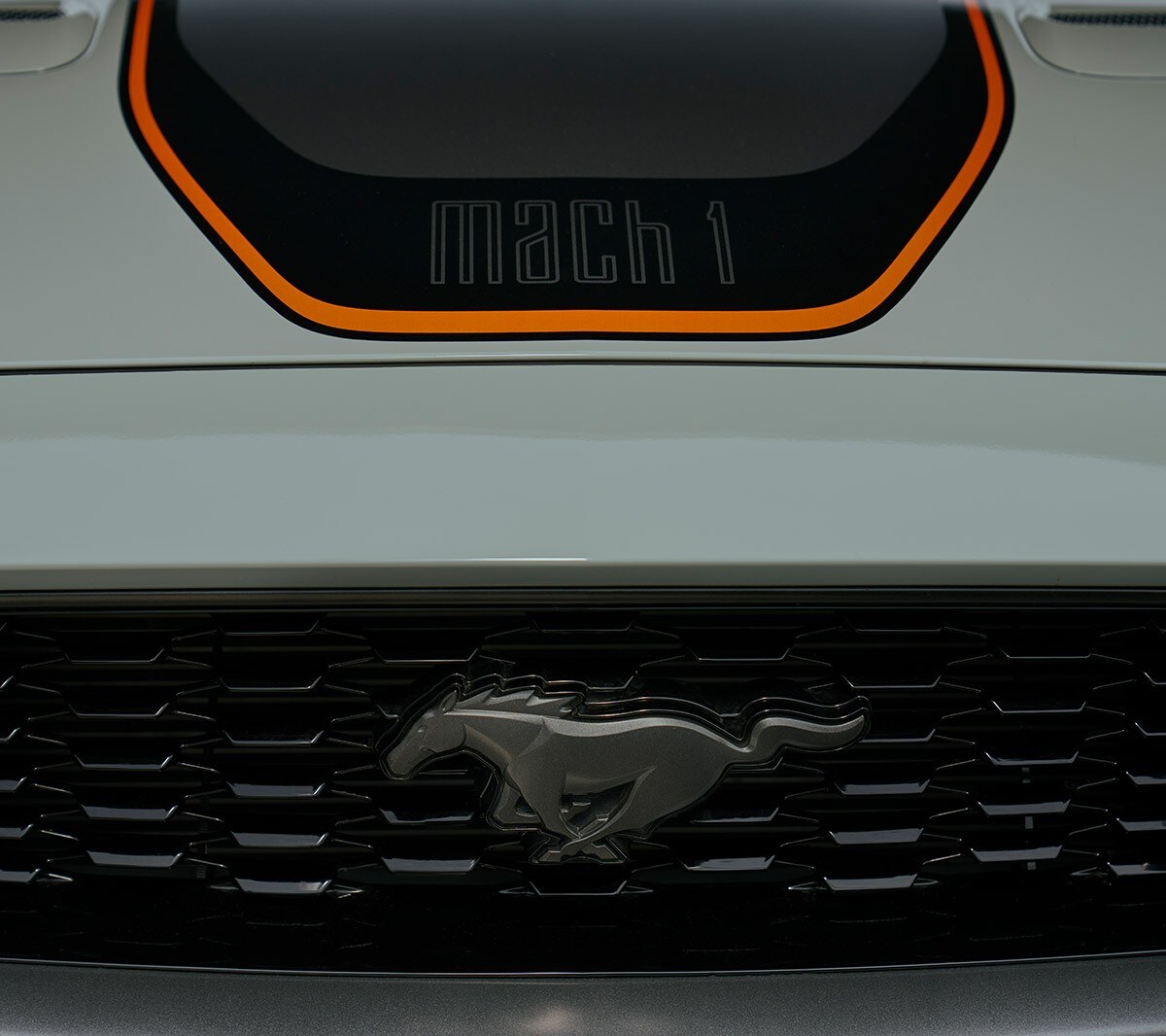 Ford Mustang Mach 1 branded grille close up